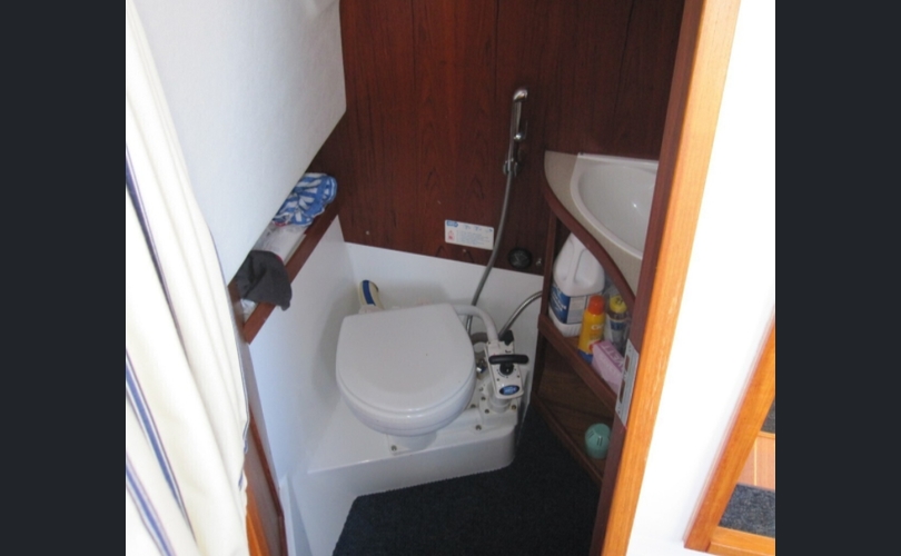 Albatross Flying 871-kuva-7